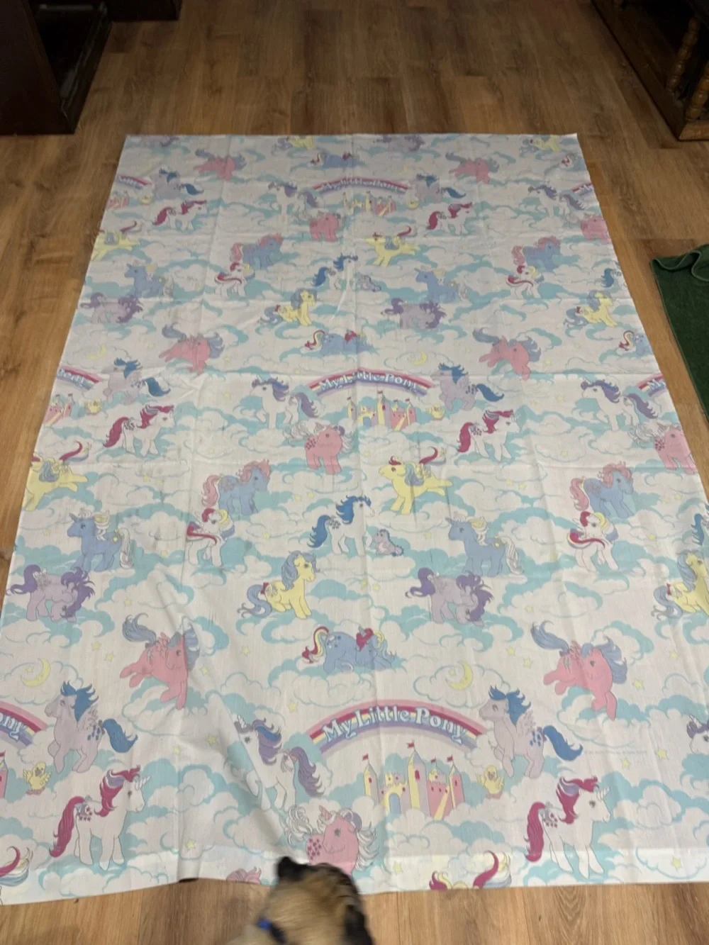 80s my little pony sheet